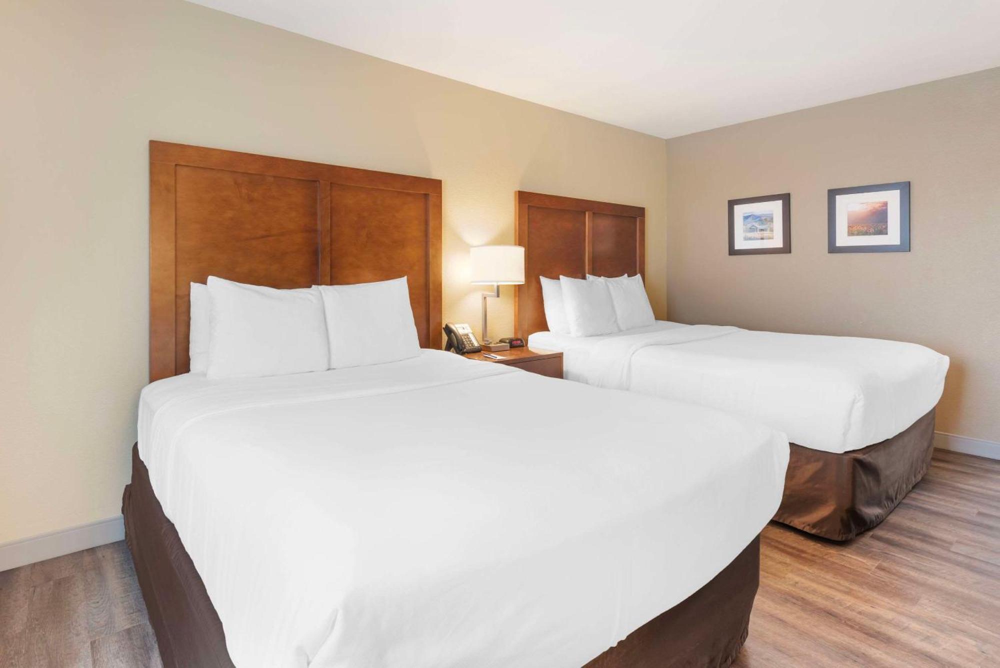 Comfort Inn&Suites Carbondale Extérieur photo