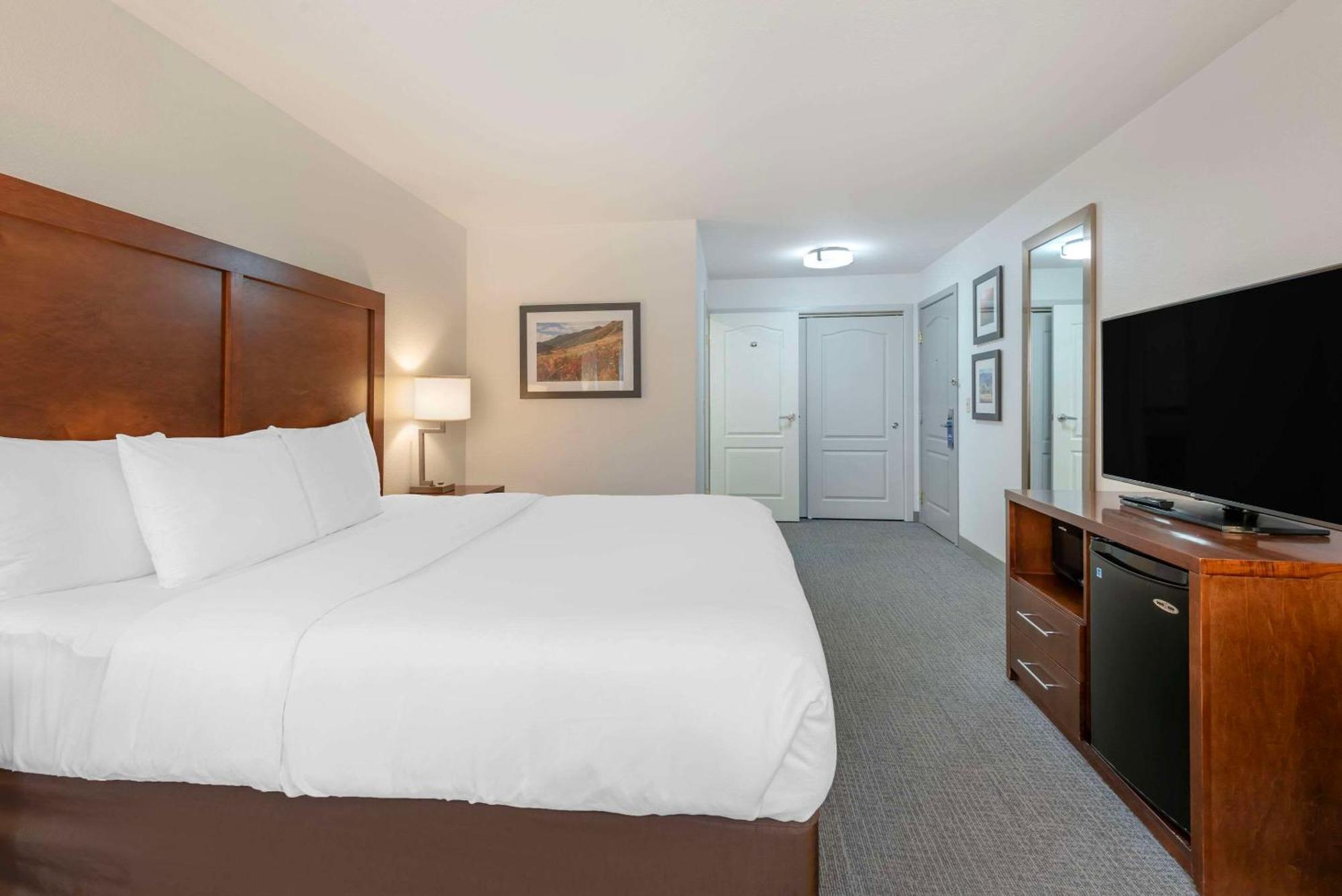 Comfort Inn&Suites Carbondale Extérieur photo