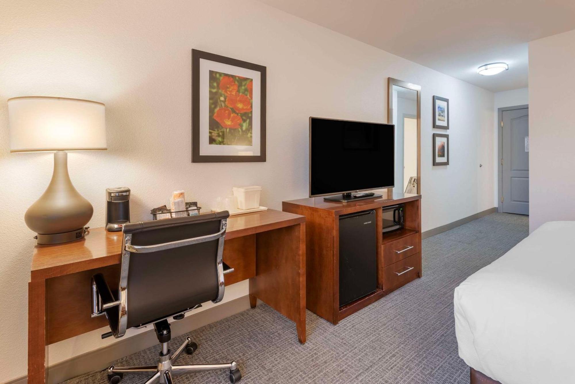 Comfort Inn&Suites Carbondale Extérieur photo